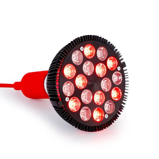 MITO LIGHT® Bulb 3.0 Mito Light